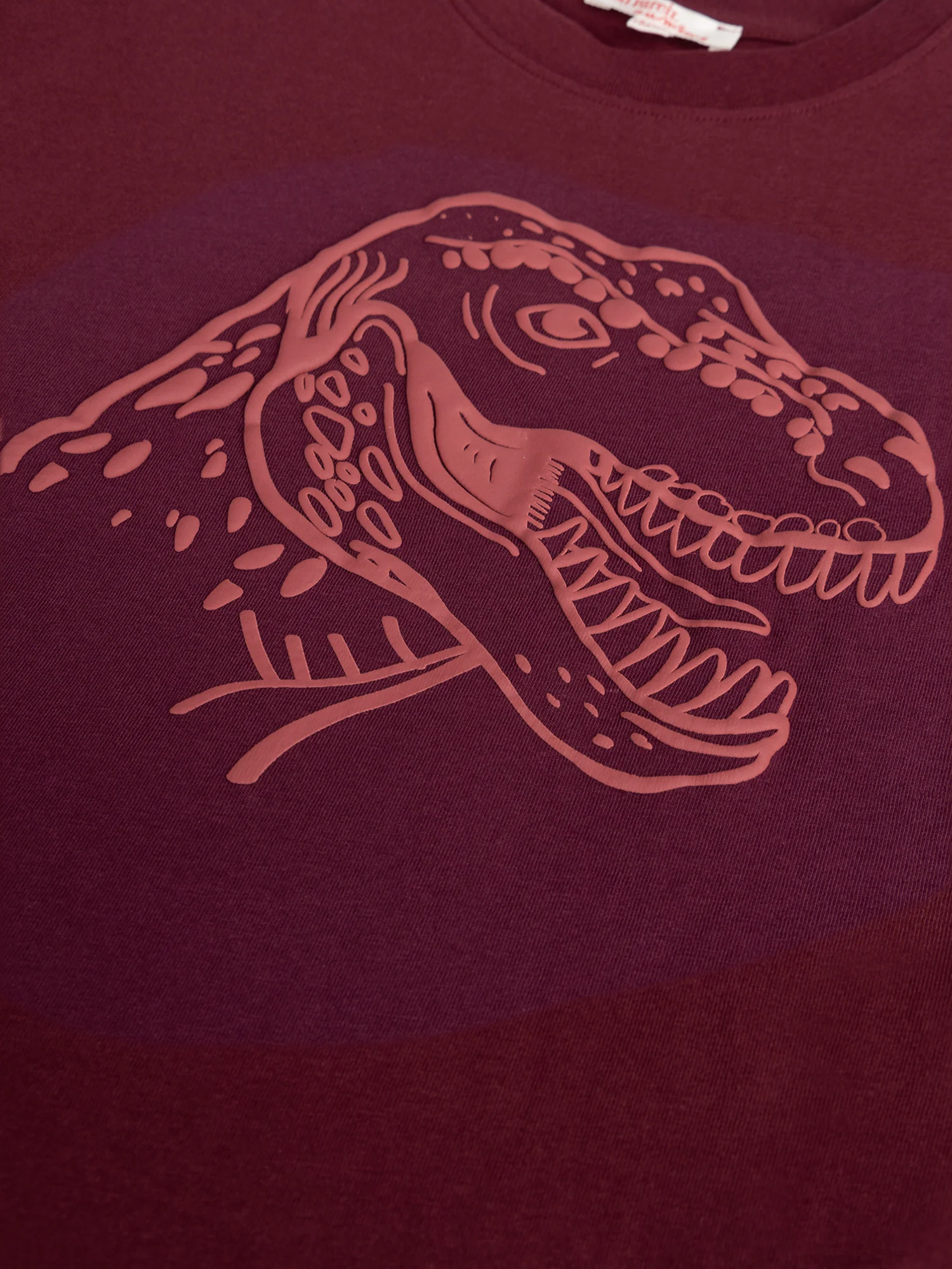 T-Shirt Bordeaux Animazione Dinosauro per Ragazzi - Image 2
